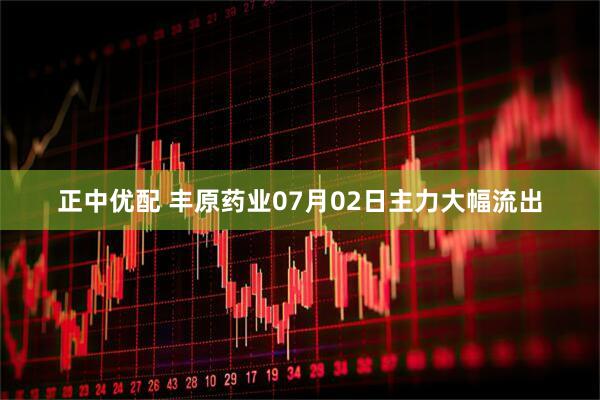 正中优配 丰原药业07月02日主力大幅流出