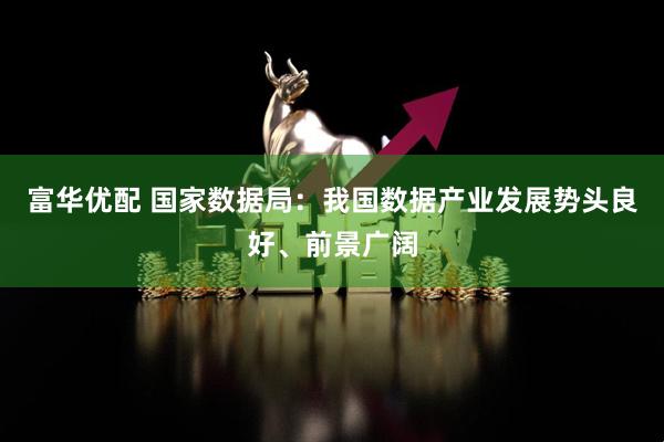 富华优配 国家数据局：我国数据产业发展势头良好、前景广阔