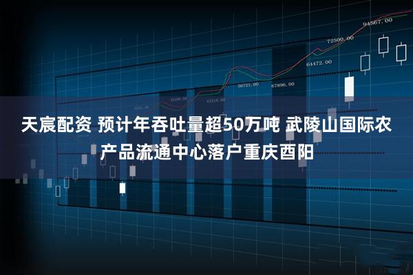 天宸配资 预计年吞吐量超50万吨 武陵山国际农产品流通中心落户重庆酉阳