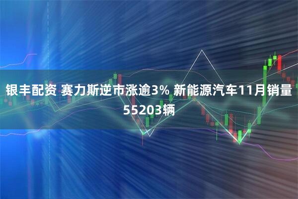 银丰配资 赛力斯逆市涨逾3% 新能源汽车11月销量55203辆