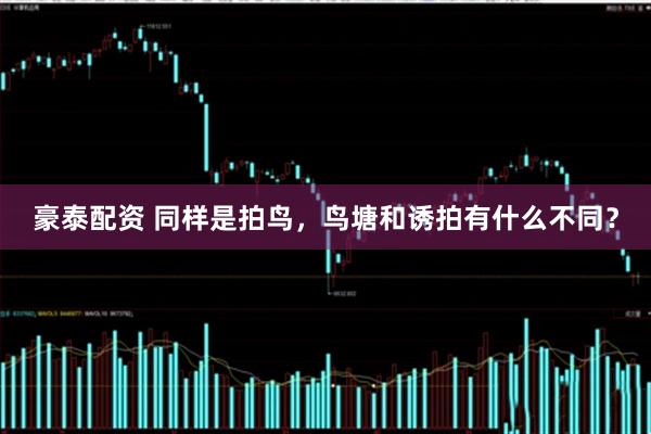 豪泰配资 同样是拍鸟，鸟塘和诱拍有什么不同？